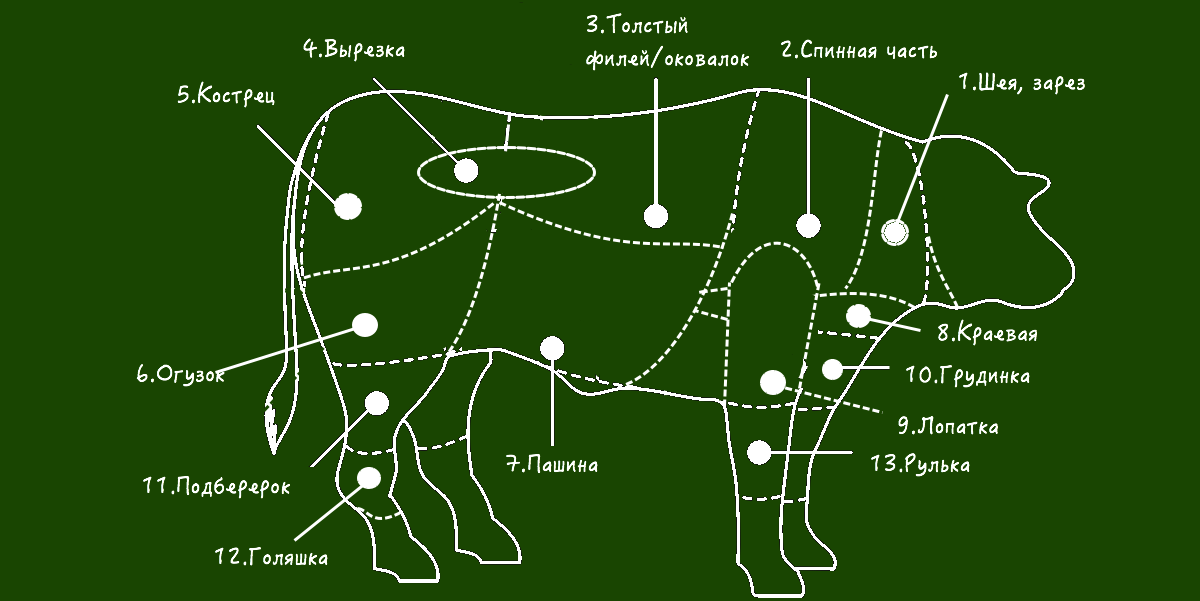 Части туши говядины схема