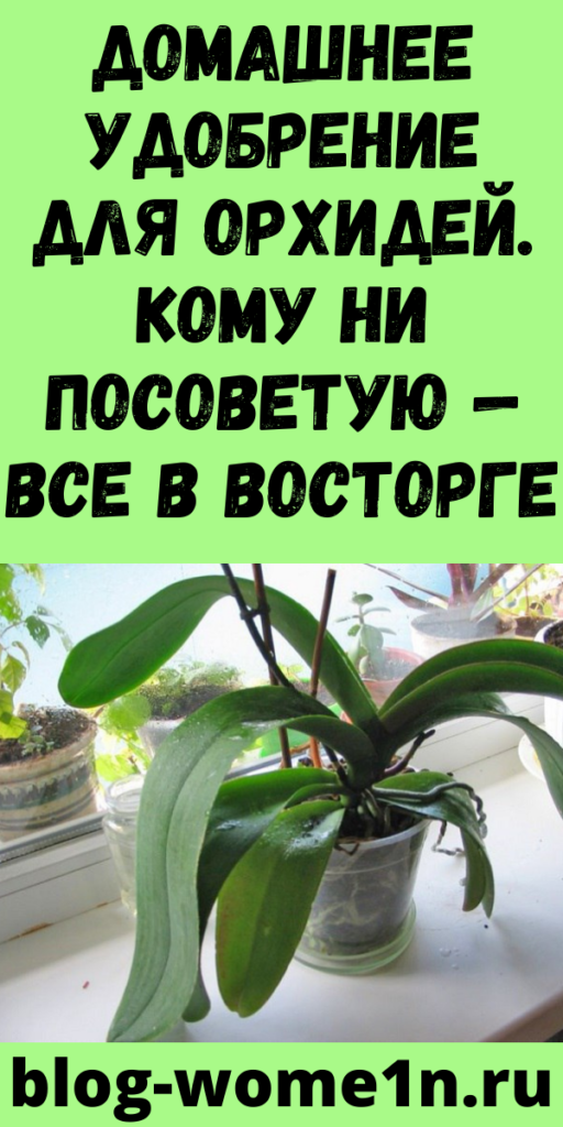 Домашнее удобрение для орхидей. Кому ни посоветую — все в восторге.
