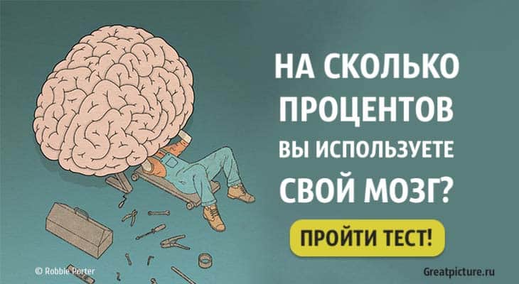 Проценты мозга. Тест на мозг. Сколько процентов мозга использует человек. Используй свой мозг. Мозг задействован на 10 процентов.