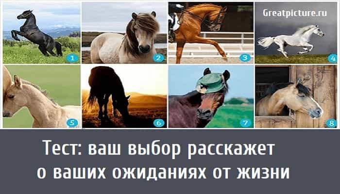 Выбери расскажи